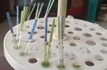 2024年我国批准新建国家标准物质1135项